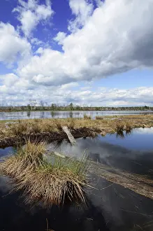 Bavaria Wetland Landscape Prints: Abandoned peat cutting area with reflection of clouds