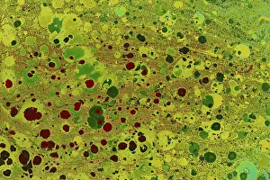 Empty Full Format Images Prints: Abstract creative marbling pattern templat for fabric