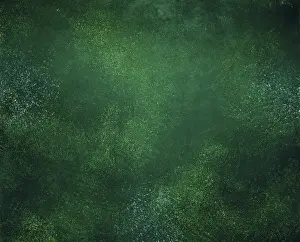 Full Frame Background Image Prints: Abstract green background texture