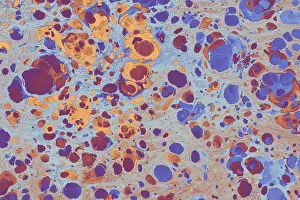 Fabric Background Texture Prints: Abstract marbling pattern for fabric