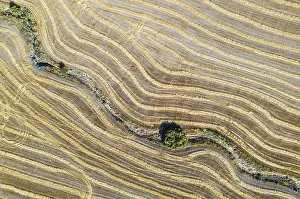 Andalusia Agricultural Landscape Prints: Abstract patterns in cornfield after wheat harvest