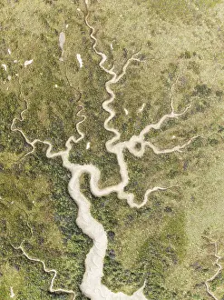 High Angle View Of Spanish Wetlands Prints: Abstract patterns of dry streams at low tide