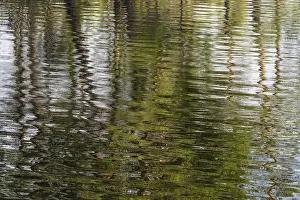 Storsjon Lake Reflections Sweden Prints: Abstract reflections, Anderson
