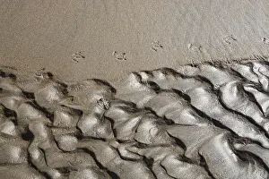 Abstract Nature Photography Prints: Abstract sand pattern background