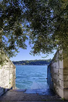 Lake Garda Scenery Prints: Access to the water, olive tree