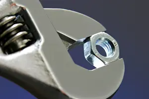 Macro Studio Photography Prints: Adjustable wench with nut