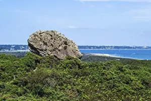 British Coastline Prints: Agglestone Rock, Devil's Anvil