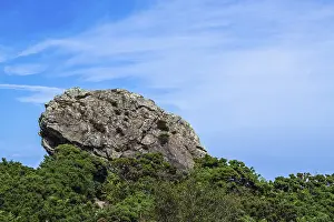 England Coastline Prints: Agglestone Rock, Devil's Anvil