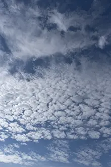 Altocumulus Cloud Formation Prints: Altocumulus clouds (Altocumulus)