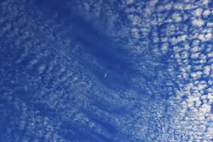 Crescent Moon Prints: Altocumulus clouds with crescent moon