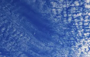 Crescent Moon Prints: Altocumulus clouds with crescent moon