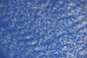 Crescent Moon Prints: Altocumulus clouds with crescent moon
