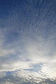 Altocumulus Clouds Germany Prints: Altocumulus clouds, Germany