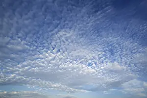 Altocumulus Clouds Germany Prints: Altocumulus clouds, Germany