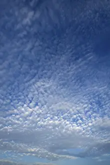 Cumulus Humilis Cloud Formations Prints: Altocumulus clouds, Germany
