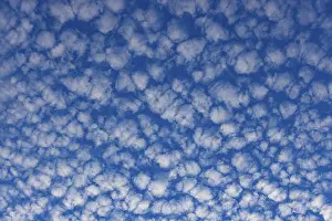 Deserted Austrian Landscape Prints: Altocumulus clouds, Upper Austria, Austria