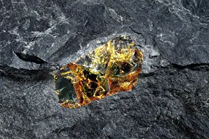 Granite Cliff Scenery Prints: Amber, embedded in granite