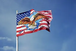 USA National Flag Prints: American flag, eagle