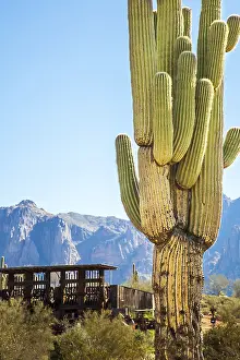 No People In The Wilderness Prints: Apache Trail Arizona
