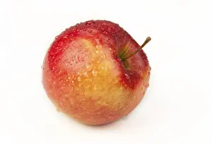 Studio Shot Fruit Photography Prints: Apple