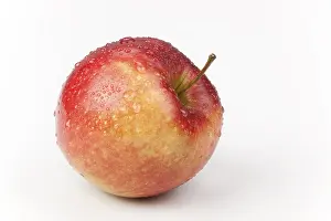 Red Apple Nutrition Prints: Apple (Malus)