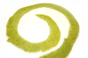Studio Shot Of Apple Prints: Apple peel