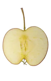 Cut Out Apple Image Prints: Apple slice with stalk