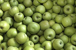 Framed Print : Apples Print by ImageBROKER Framed Print : Apples Print by ImageBROKER