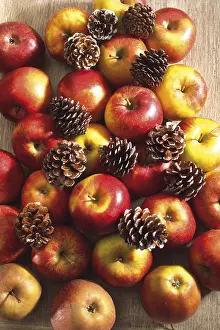 Filling The Format Wallpaper Prints: Apples and pine cones