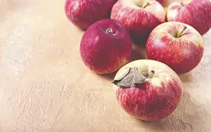 Freshly Picked Apples Prints: Apples scattered on the table, selective focus