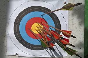 Physical Fitness Symbol Prints: Archery target with arrows