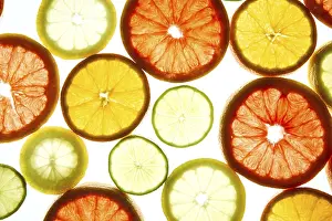 Fresh Citrus Fruit Prints: An array of colorful citrus slices