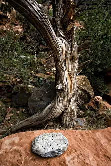 American Nature Photography Prints: Art with natural objects, stone