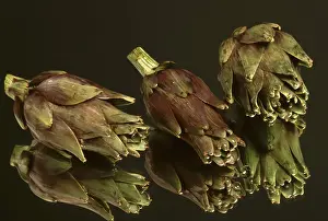 Vegetable Garden Prints: Artichoke