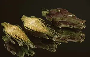 Studio Shot Vegetables Prints: Artichoke