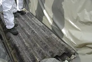 Construction Site Safety Prints: Asbestos, asbestos