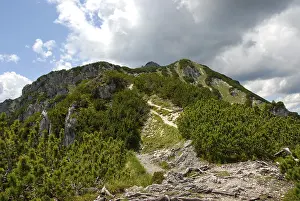 German Alps Prints: Ascent, path to the summit, Mt