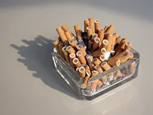 Household Waste Management Prints: A full ash-tray