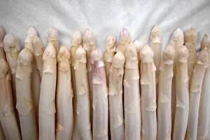 White Asparagus Prints: Asparagus