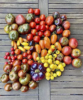 Open Air Produce Prints: Assorted colourful tomatoes