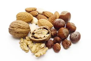 Studio Shot Of Nuts Prints: Assorted nuts - walnuts, hazelnuts and almonds