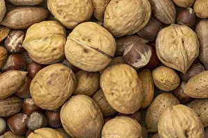 Diverse Nut Selection Prints: Assortment of nuts in shells. Selection of different types of nuts