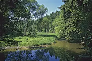 Germany Landscape Photography Prints: Aumatal, Germany, Greiz, Thuringia