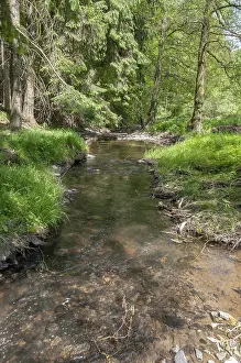 German Nature Reserve Prints: Aumatal, Germany, Greiz, Thuringia