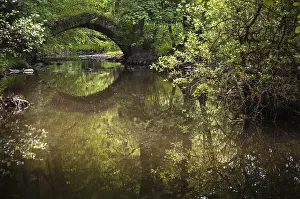 German Nature Reserve Prints: Aumatal, Germany, Greiz, Thuringia