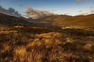 Autumn Landscape Ireland Prints: Autumn landscape, Dingle, County Kerry, Ireland