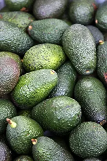 Avocado Nutrition Prints: Avocado