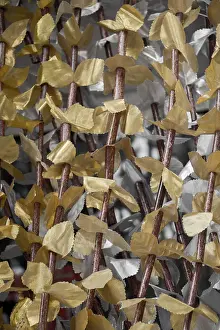 Full Frame Wallpaper Design Prints: Backdrop and backgrounds texture details in abstract form