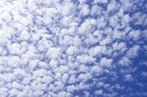 Cloudy Summer Sky Prints: Background from a cloud formation of fleecy clouds in the summer sky