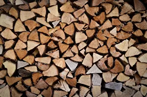 Uninhabited Forest Landscape Photo Prints: Background Texture Of Stacked Split Wood For Fire